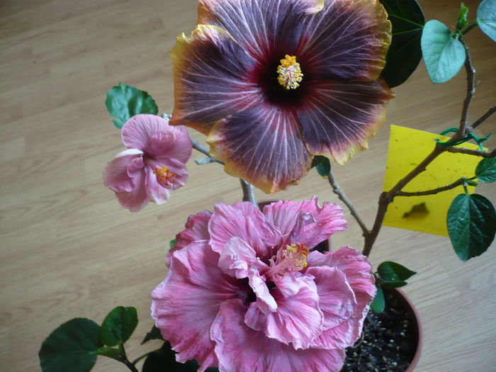 P1250687