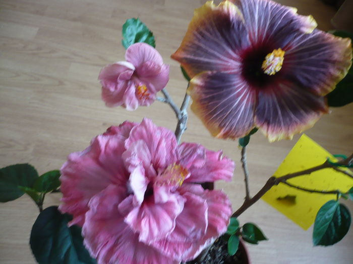 P1250688