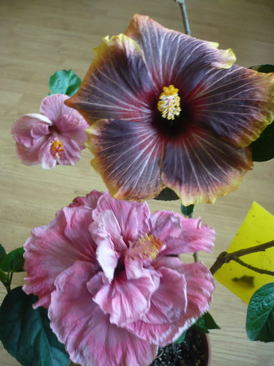 P1250691