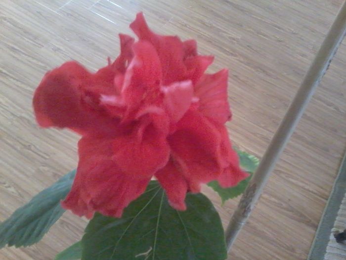 20160404_080159