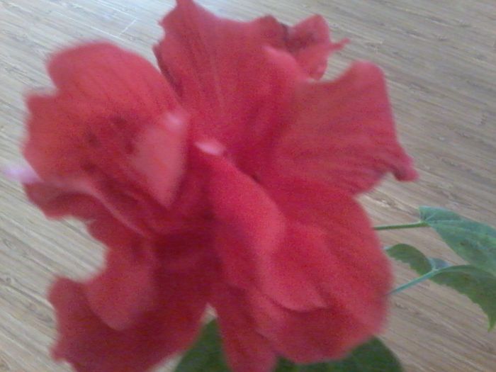 20160404_080205