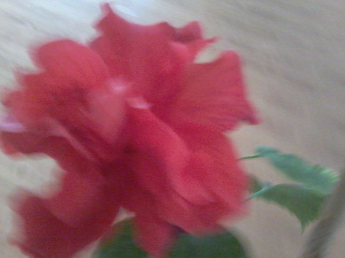 20160404_080211