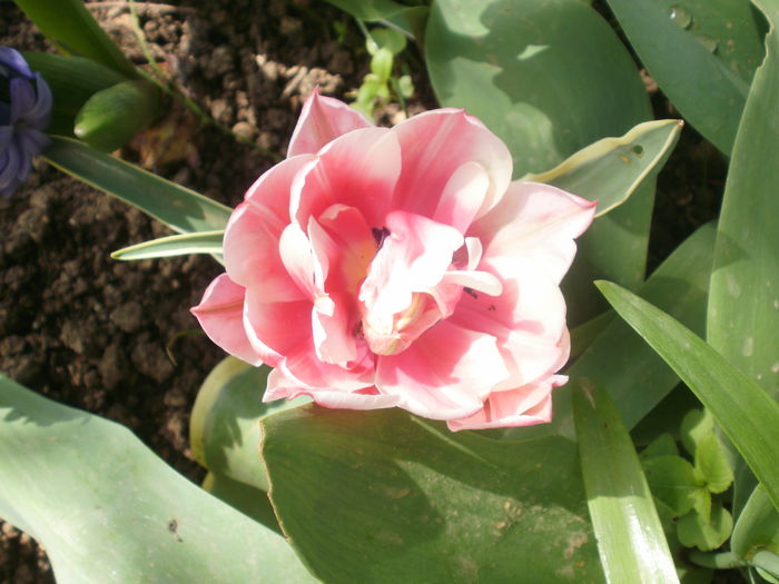 P3080004