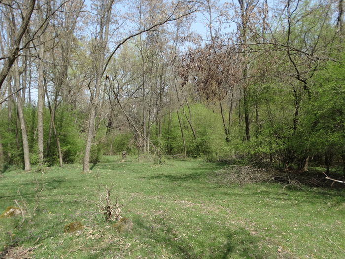 DSC09899