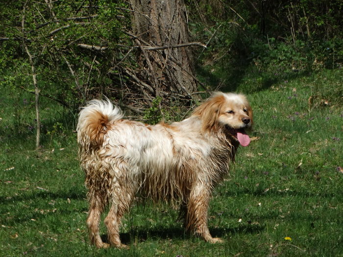 DSC09900