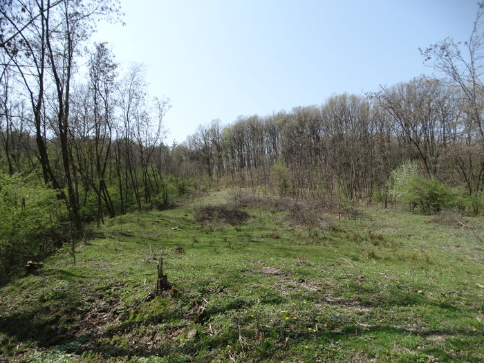 DSC09901