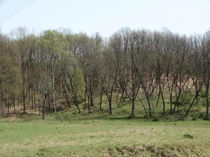 DSC09909