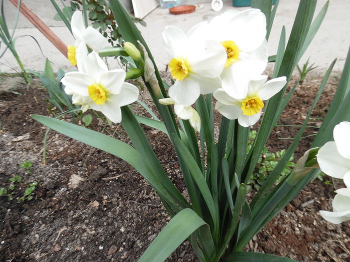 066