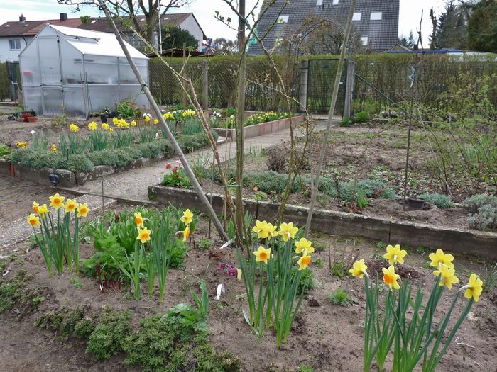 P1790206 - 2016 - 01 - Primavara