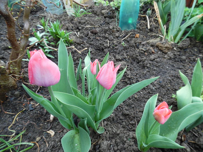 040