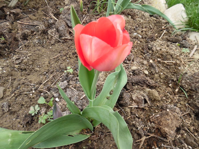 046