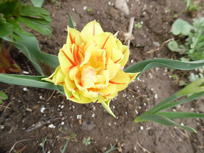 048