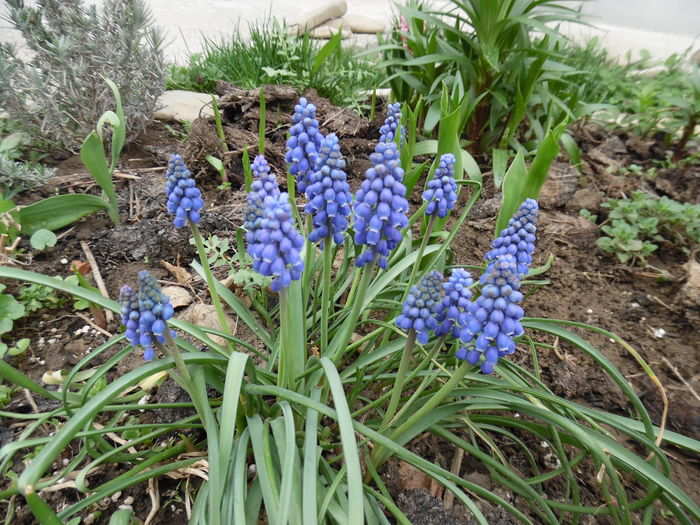 051