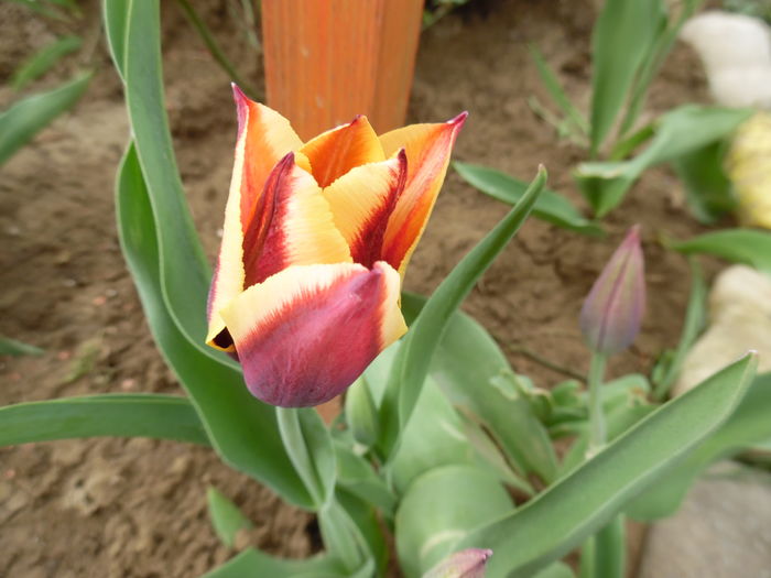 052
