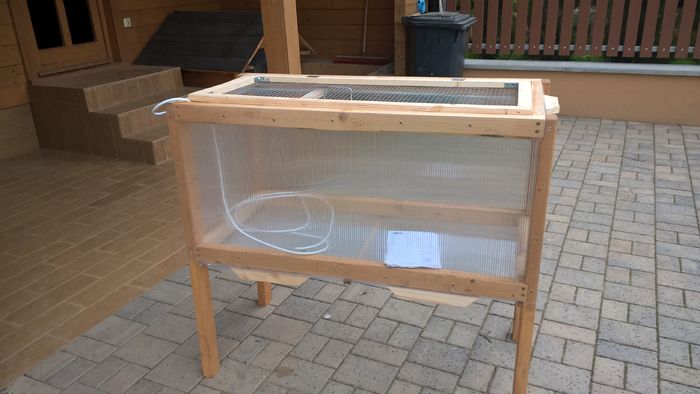 WP_20160409_15_30_23_Pro - Maternitate pui