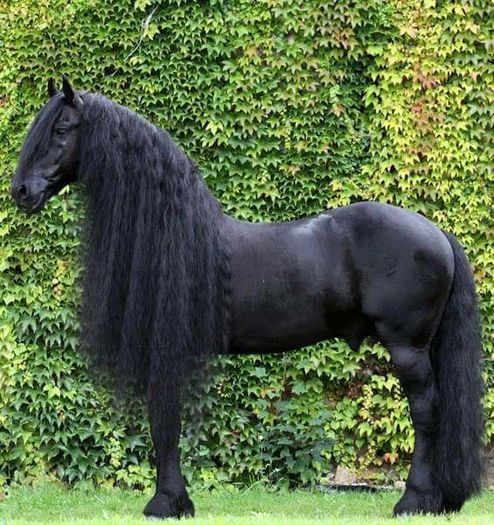 FB_IMG_1460230305848