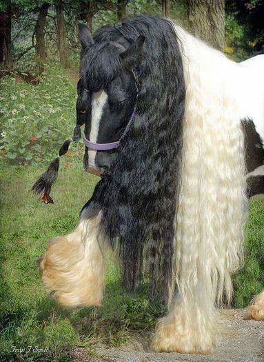 FB_IMG_1460230299447