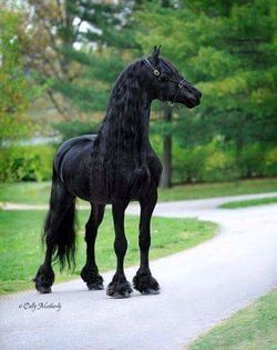 FB_IMG_1460230373611