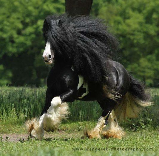 FB_IMG_1460230380071