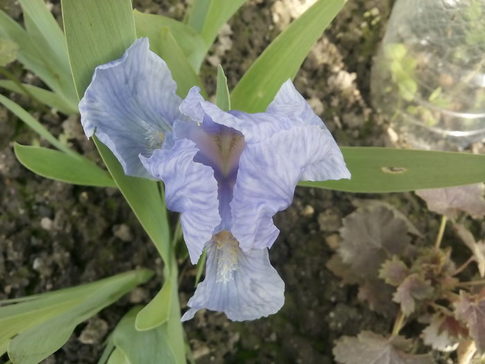 IMG_20160410_105301 - 2016 Primavara