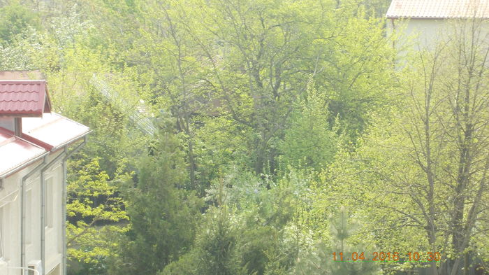 DSCN0634 - PARCUL IOR APRILIE 2016