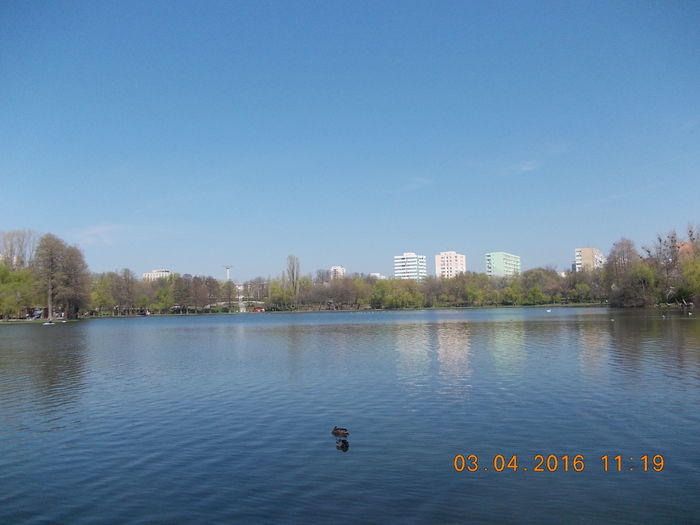 DSCN0592 - PARCUL IOR APRILIE 2016