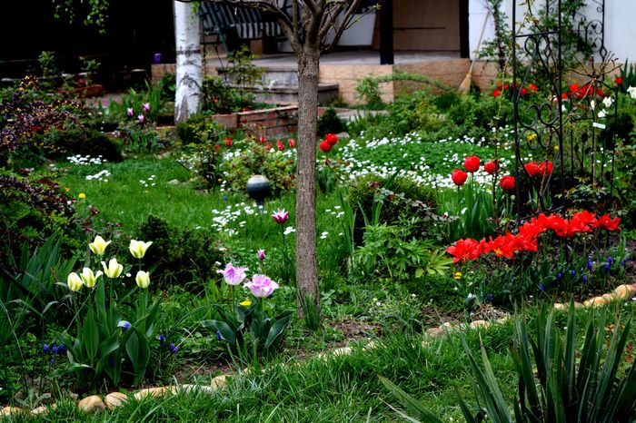 Spring green