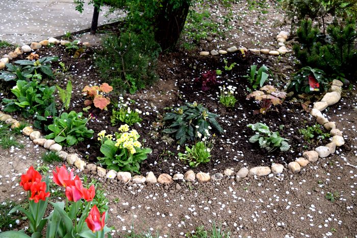 Shadow garden