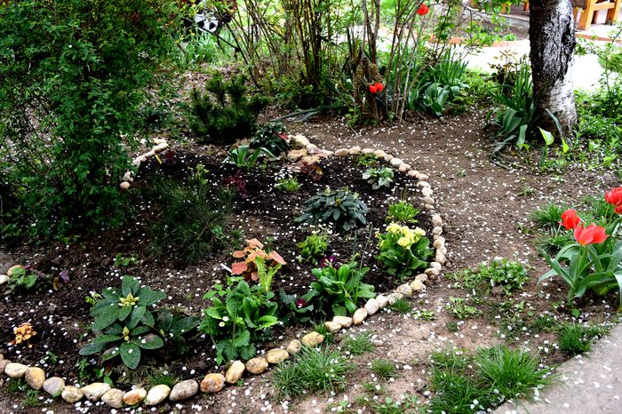 Shadow garden
