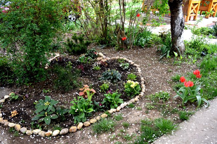Shadow garden