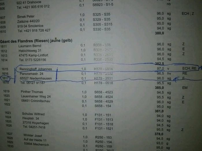 POZA CATALOG