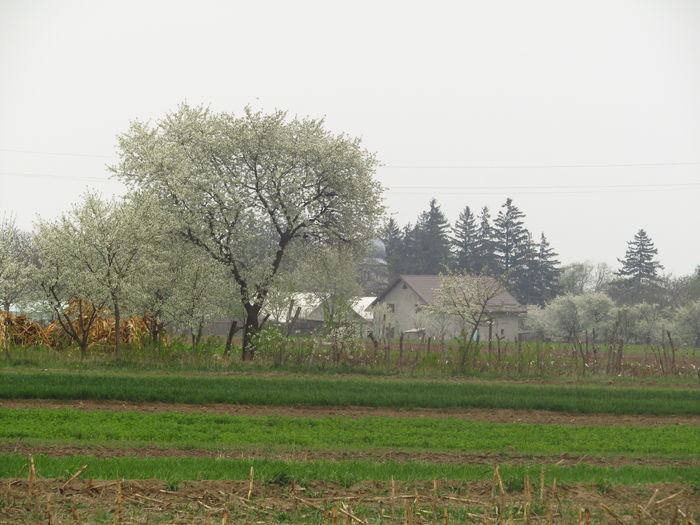 10 april 2016 029 - De prin zona