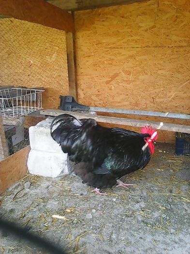 12938114_1162105213834140_8067608092794293285_n