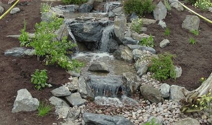 pondless1