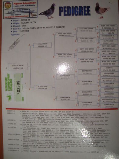 pedigree mama femelei - 06-0310773-10 F Maraton Palmares 300 euro