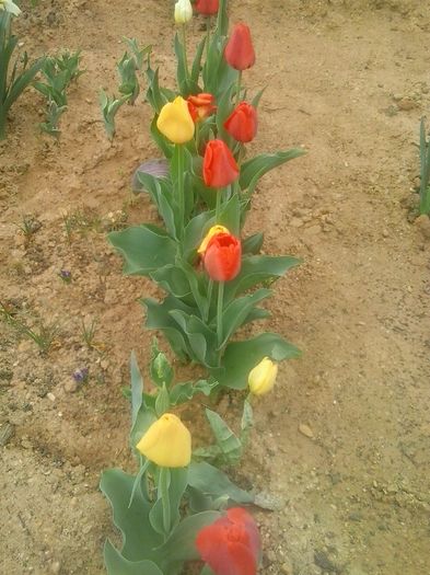 20160408_094620