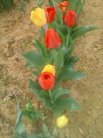 20160408_094623