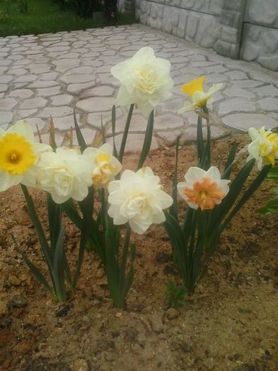 20160408_094639