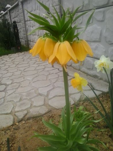 20160408_094643