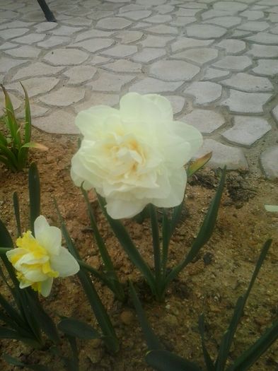 20160408_094655