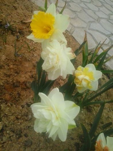 20160408_094658