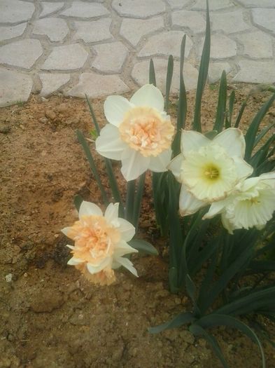 20160408_094715