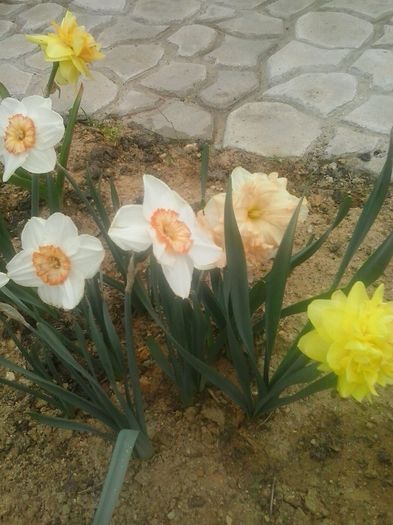 20160408_094719