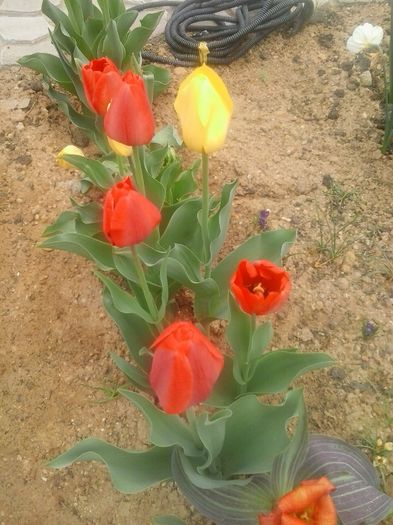20160408_094726