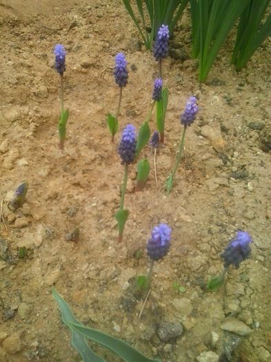 20160408_094743