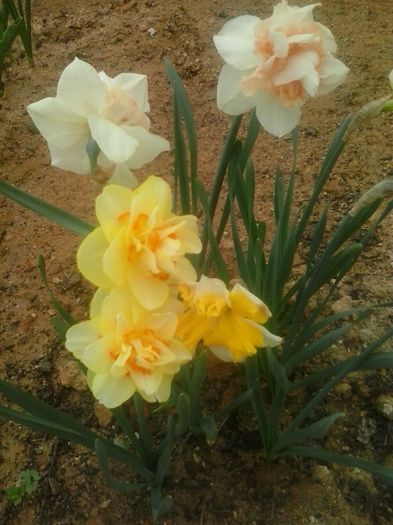 20160408_094815