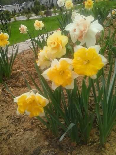 20160408_094820