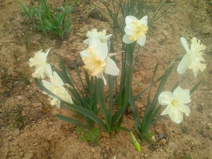 20160408_094832