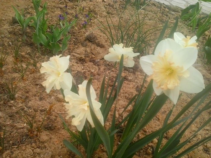 20160408_094835