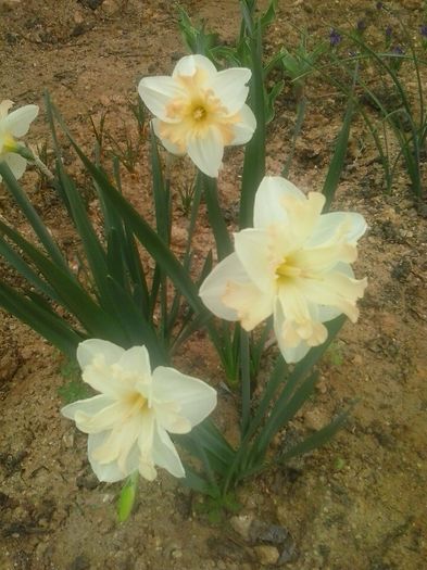 20160408_094840